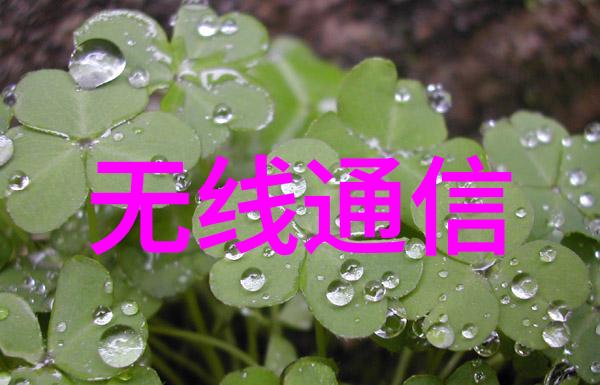 FTTx在中国扩展迅速